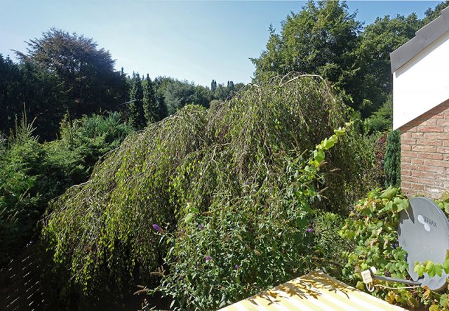 image032